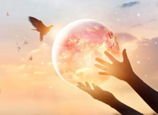 Gaia – Travailler ensemble pour l’Ascension